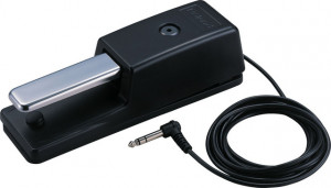 BOSS Boss DP-10