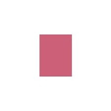 Ruj de buze hidratant Max Factor Colour Elixir Nuanta 510 English Rose