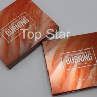 Trusa farduri de pleoape 12 culori Focallure Burning Eyeshadow Palette