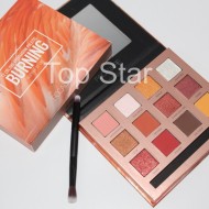 Trusa farduri de pleoape 12 culori Focallure Burning Eyeshadow Palette