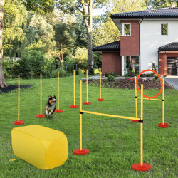 PawHut Conjunto de treinamento para cães com 4 obstáculos ajustáveis ​​com bolsa amarela