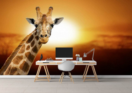 Fototapet, Girafă la apus de soare