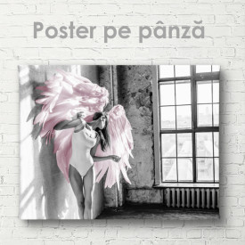 Poster, Aripile roz 2