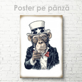 Poster, Maimuță serioasă