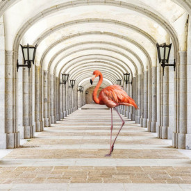 Fototapet 3D, Flamigo roz într-un tunel cu coloane grecești