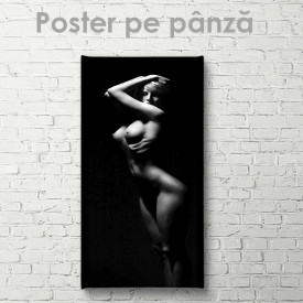 Poster, Umbre pe corpul feminin 1