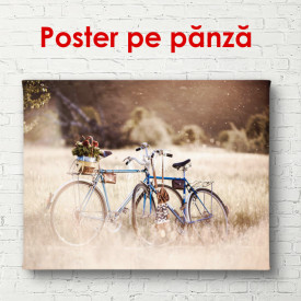 Poster, Bicicleta într-un parc