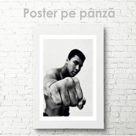 Poster, Sportsman