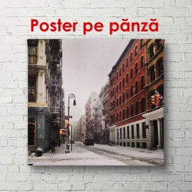Poster, Iarna în New York