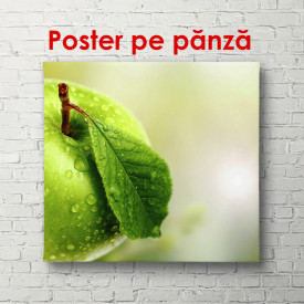 Poster, Mărul verde