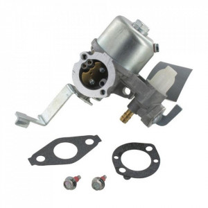 Carburator Briggs&Stratton 796447