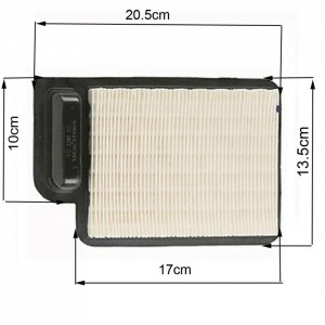 Filtru aer Kohler 2008306