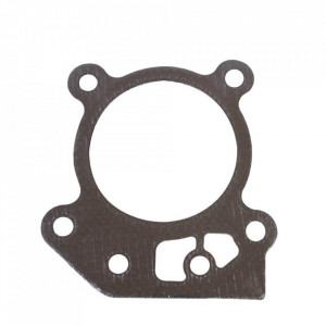 Garnitura de chiuloasa Briggs & Stratton 799586