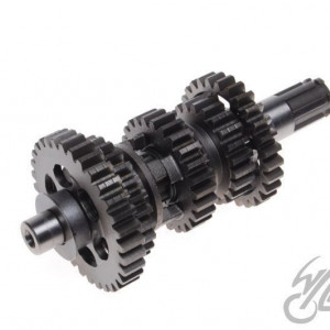 Arbore cutia de viteza ATV XY250ST-9E - WM Moto