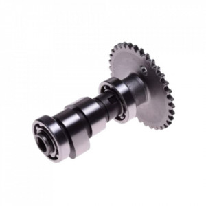 Ax came ATV 250cc ST-9C - Wilmat