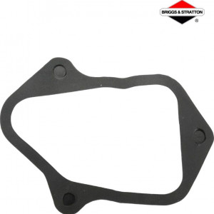 Garnitura Briggs & Stratton 595342