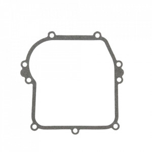 Garnitura carter Briggs & Stratton 799587