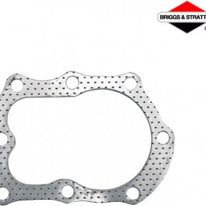 Garnitura de chiuloasa Briggs & Stratton Classic 698717
