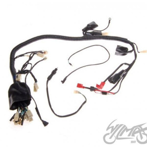 Instalatie electrica ATV 250 STXE - Wilmat