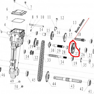 Roata dintata motosapa Ruris, Dac, Zimbru, Gigant