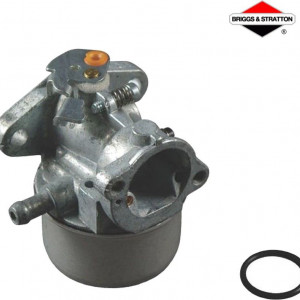 Carburator Briggs&Stratton 496114