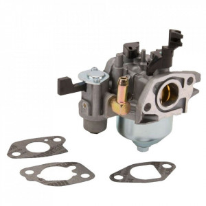 Carburator Briggs&Stratton 596079