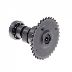 Ax cu came scuter Gy6 4T 80cc