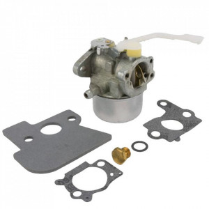 Carburator Briggs&Stratton 694203
