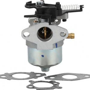 Carburator Briggs&Stratton seria 700, 750