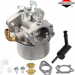 Carburator Briggs&Stratton 798653