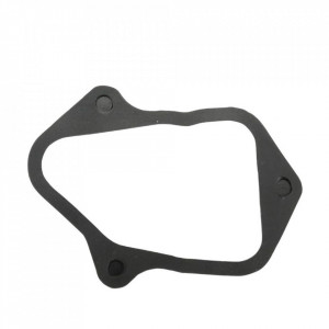 Garnitura Briggs & Stratton 595342