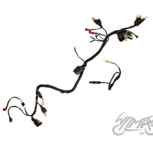 Instalatie electrica ATV 150cc Automatic