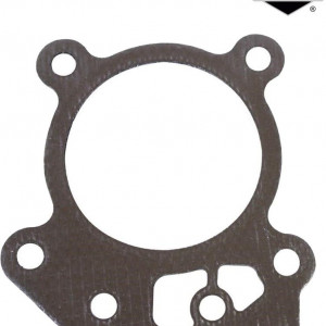 Garnitura de chiuloasa Briggs & Stratton 799586