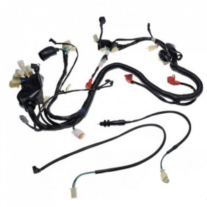 Instalatie electrica ATV XY250ST-9C Automatic