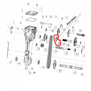 Roata dintata superior lant transmisie motocultor Ruris, Dac, Zimbru, Gigant