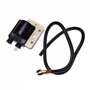 Bobina inductie scuter Peugeot Buxy