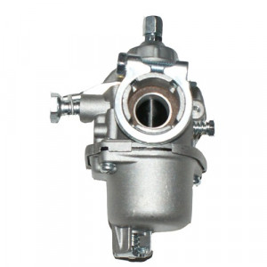 Carburator atomizor Ruris, Hercules, 3WF