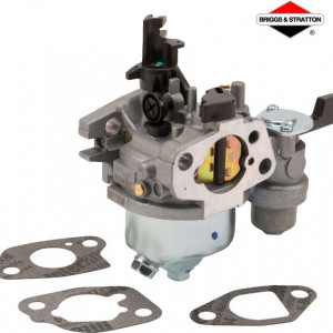 Carburator Briggs&Stratton 596079