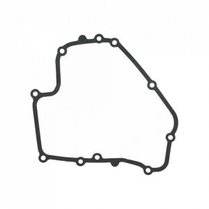 Garnitura carter Briggs&Stratton Dov 793445