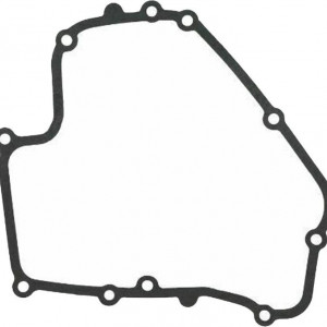 Garnitura carter Briggs&Stratton Dov 793445