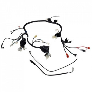 Instalatie electrica ATV 250 STXE - Wilmat