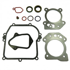 Set garnituri Briggs & Stratton 450, 500, 550