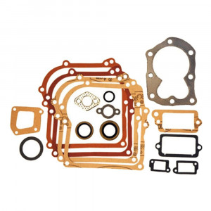 Set garnituri Briggs&Stratton 450 500 Classic