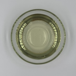 Castor oil, pharmaceutical - plastic canister 10 kg
