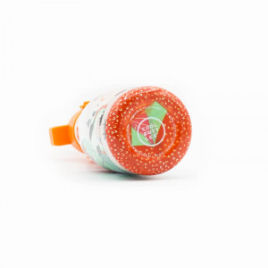 Sticla termos pentru copii din otel inoxidabil - 260 ml - Panda Gang - Cool Bottles
