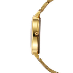 Ceas Dama Geneva Platinum Gold