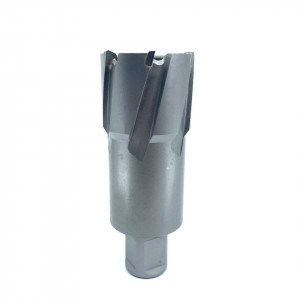 Carota pt. otel din carbura de tungsten, ⌀ 36mm, h=50mm, cu prindere Weldon - DXDY.P-TCT-50.36.W