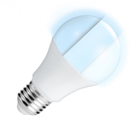 LED sijalica E27 10W hladno bela dimabilna PROSTO