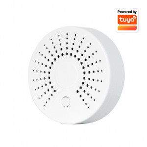 WiFi smart detektor dima