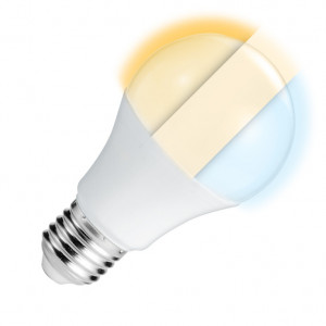 LED sijalica E27 10W sa promenljivom bojom svetlosti PROSTO